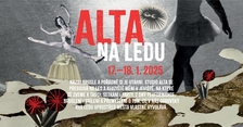 ALTA na ledu - Studio ALTA